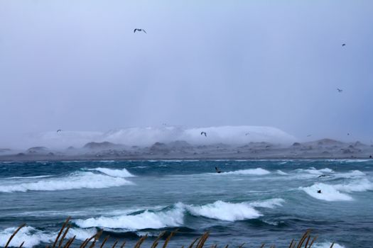 winter storm on an ocean coast