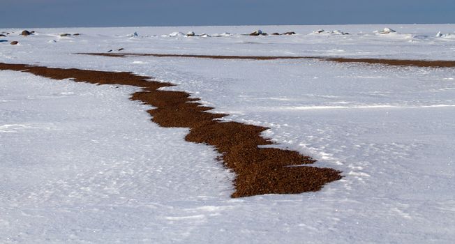 snow cover in the spring on a bright sun