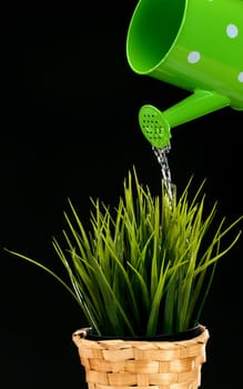 grass and watering can on black background