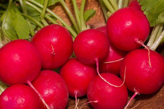 bundle of red radishes - closeup