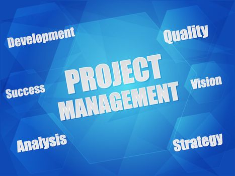 project management and business growth concept words in hexagons over blue background, flat design