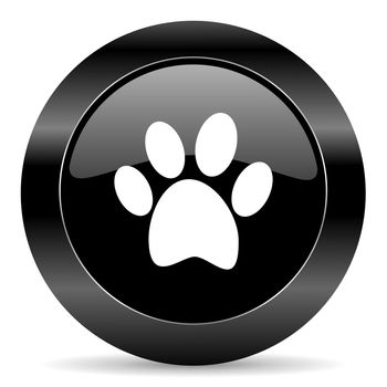 black circle web button on white background