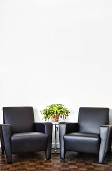 Modern Interior Room and white wall with space for your text. Two luxurious couch and glass table with accessories of your choice.