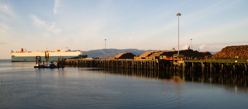 Harvested logs sit waiting for export as a large ship steams past exiting the Pacific Ocean into the Columbia River