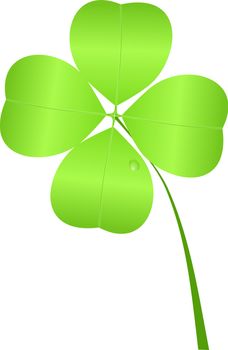 Shamrock for St. Patrick's Day isolated on a white background