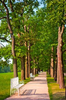 number of benches in the summer park