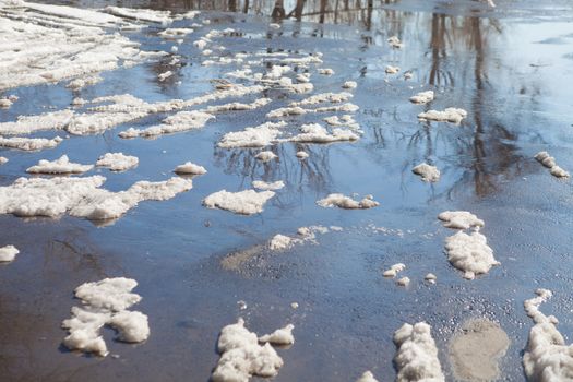 reflection of trees in spring puddle 