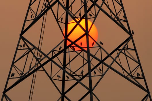 Sunset silhouette of electricity pole large sun.