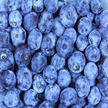 Fresh blueberry close up for background