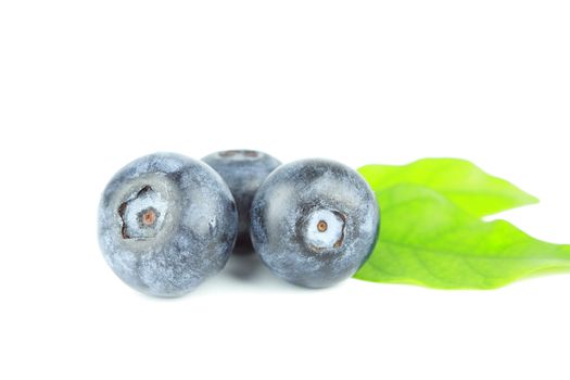 Fresh Blueberry close on white background