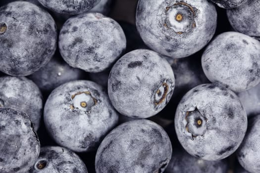 Fresh Blueberry close on white background