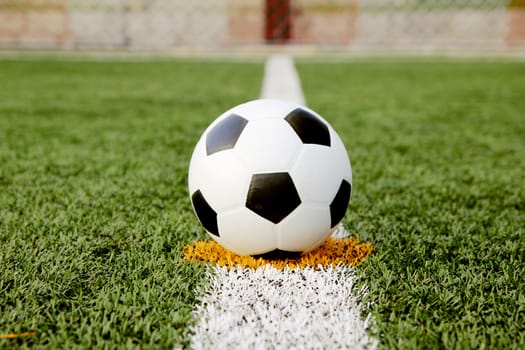 Soccer ball on green grass field with line