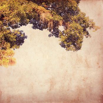 Vintage old paper texture with tree for background