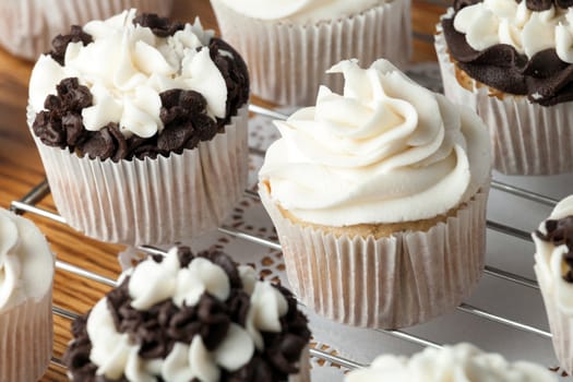 Close up of some decadent gourmet cupcakes with chocolate and vanilla frosting. Shallow depth of field.