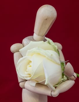 wooden mannequin with white rose