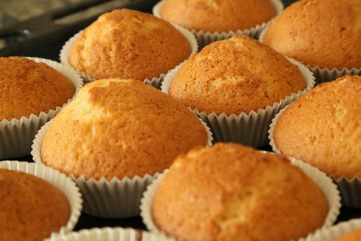 muffins with vanilla flavour on the baking tray