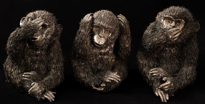 the three wise monkeys