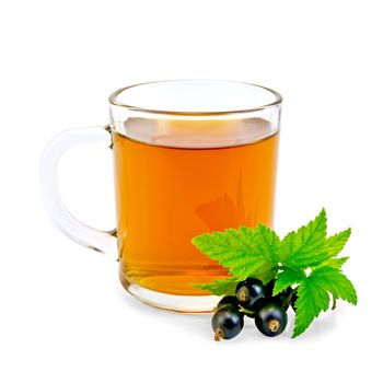 Tea in glass mug, green leaf and black currant berries isolated on white background