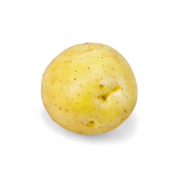 One whole yellow potato isolated on white background