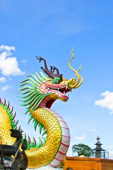 Dragon statue  in shrines
