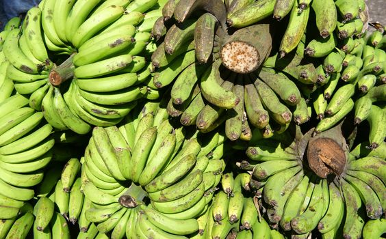 bunch of banana, banana is the fruit that rich vitamin like b6,b12, kali, magie and mineral. It's  cheap, delicious and nutrition and help aperient, joyful, reduce stress