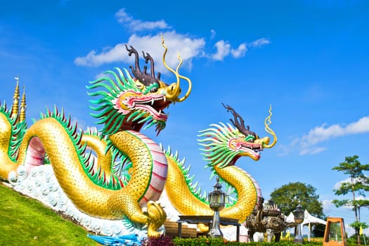 Dragon statue  in shrines