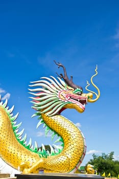 Dragon statue  in shrines