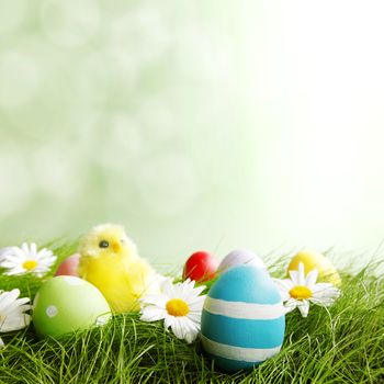 Easter Greeting Card with decorated eggs, flowers and cick in the grass