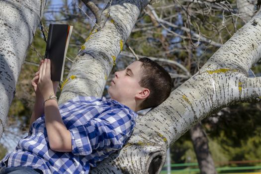 Young boy reading a book in the woods with shallow depth of field and copy space