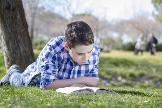 Young boy reading a book in the woods with shallow depth of field and copy space