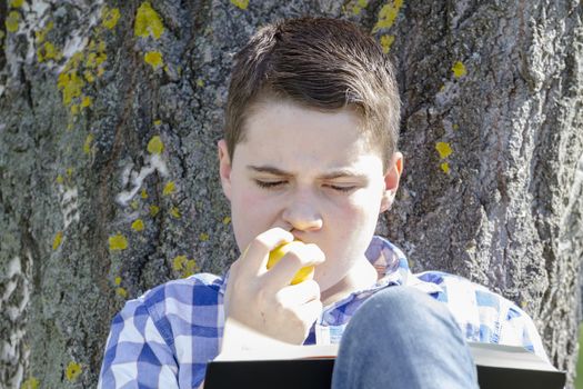 Young boy reading a book in the woods with shallow depth of field and copy space