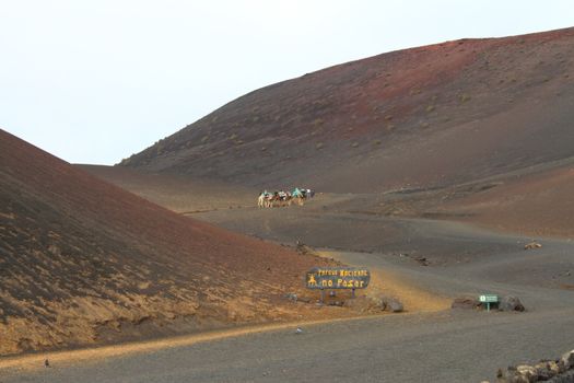 Camel train Timanfaya National Park Lanzarote Spain