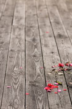 Autumn's fallen flowers on the wooden plank