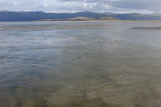 A stretch of water, a tidal estuary, with a choppy outer current and a near water under current displacing sand from the bed to the upper surface.