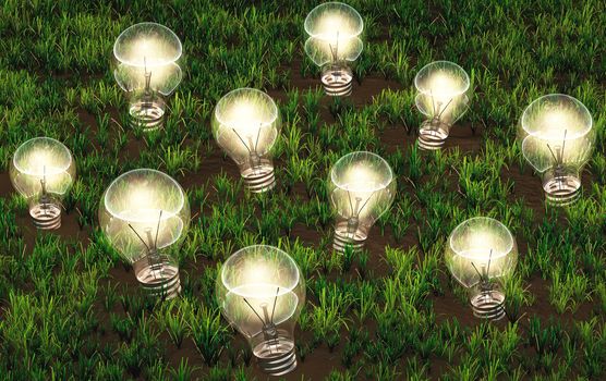 some lit light bulbs with different size are growing as ideas on a grassy soil like plants