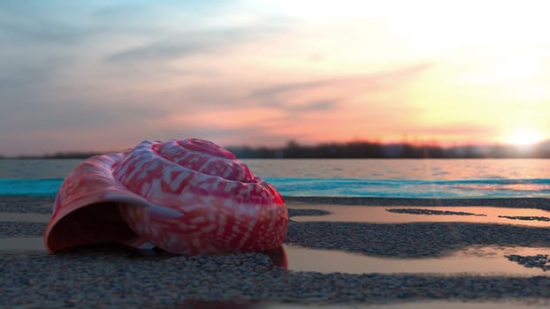 Vacation relaxing conceptual background with shells on beach