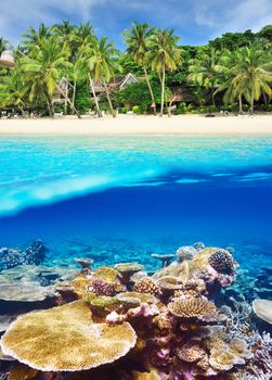 Beautiful beach with coral reef bottom underwater and above water split view