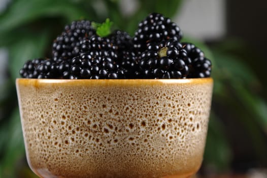 ripe mulberries in mug