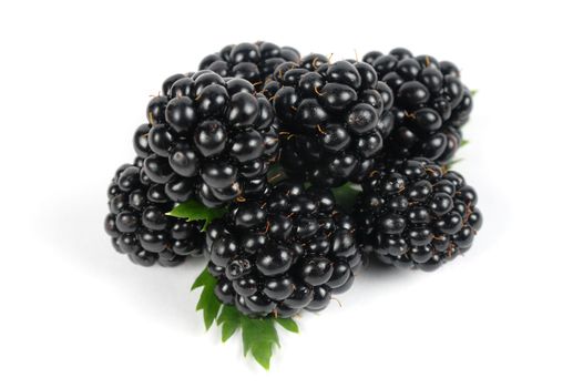 ripe mulberries on a white background