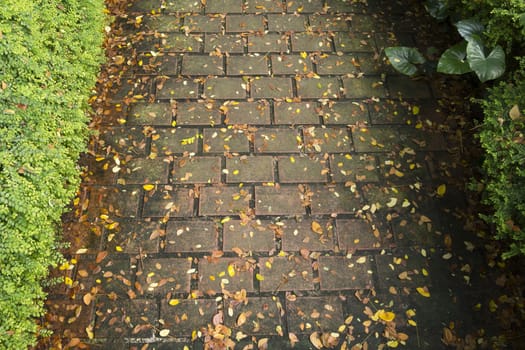 scenic pavement pattern with many small leafs