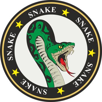 coat of arms snake with stars and circles