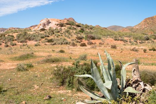 Arid desert planes in Cabo de Gata natural park, spain, 