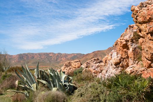 Arid desert planes in Cabo de Gata natural park, spain, 