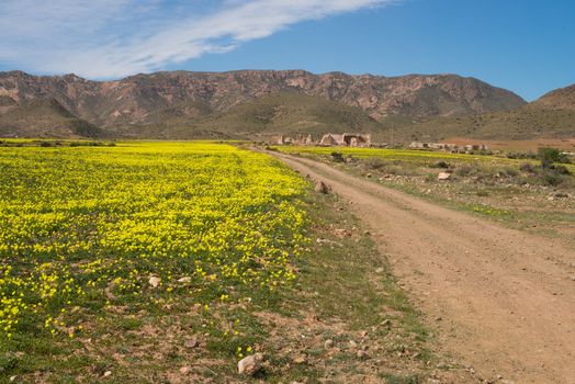 Spring at charming Andalusian natural park of Cabo de Gata