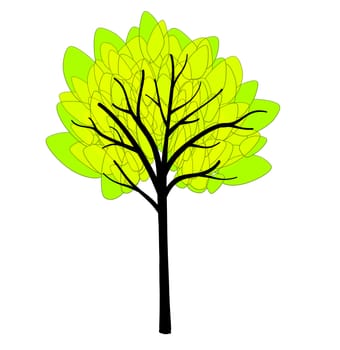 ornamental green tree illustration