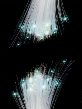 optical fiber cut on black background