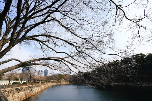 A moat surrounding Osaka castle in Japan, winter