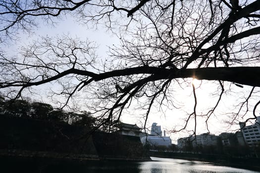 A moat surrounding Osaka castle in Japan, winter