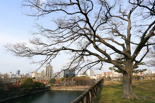 a wide view of osaka city on top of osaka castle