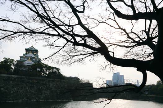 Osaka Castle in Osaka, Japan(winter season)